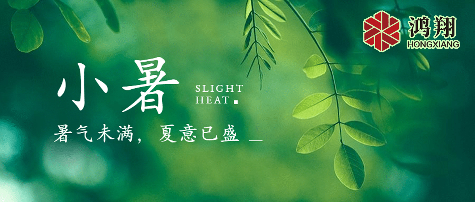 小暑| 標志著夏季的正式開始,也是一年中最熱的時候之一